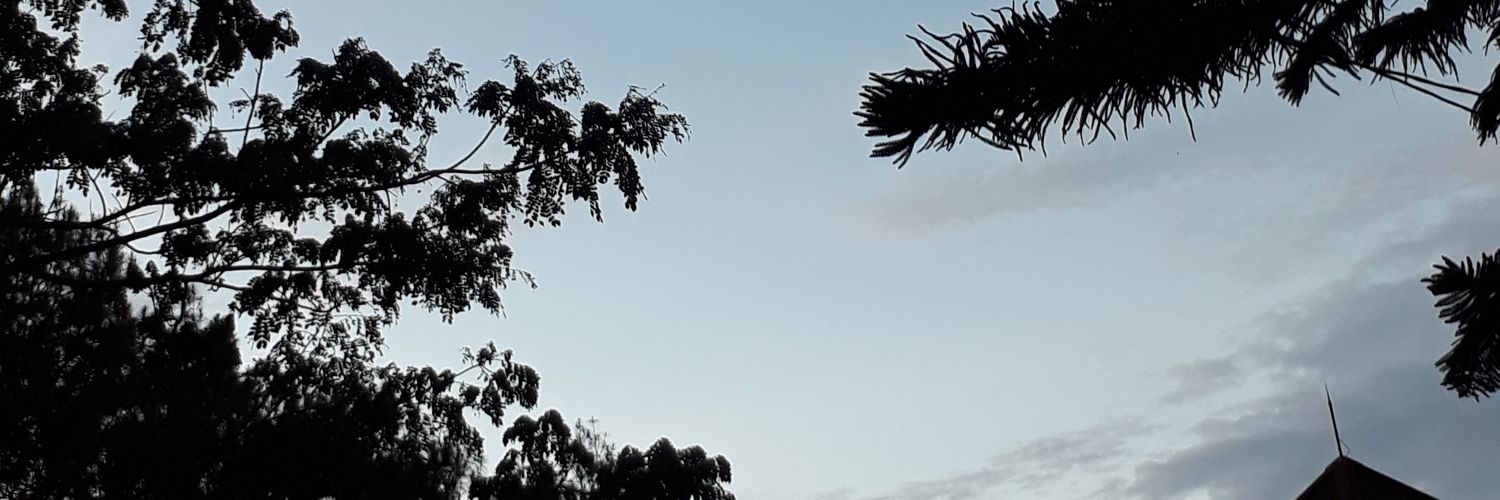 santiiPS's profile banner image