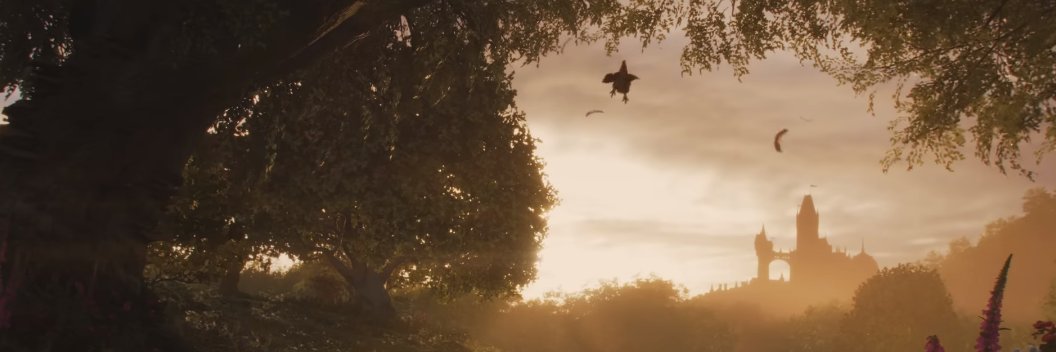 Carina 🔜 Dreamhack banner