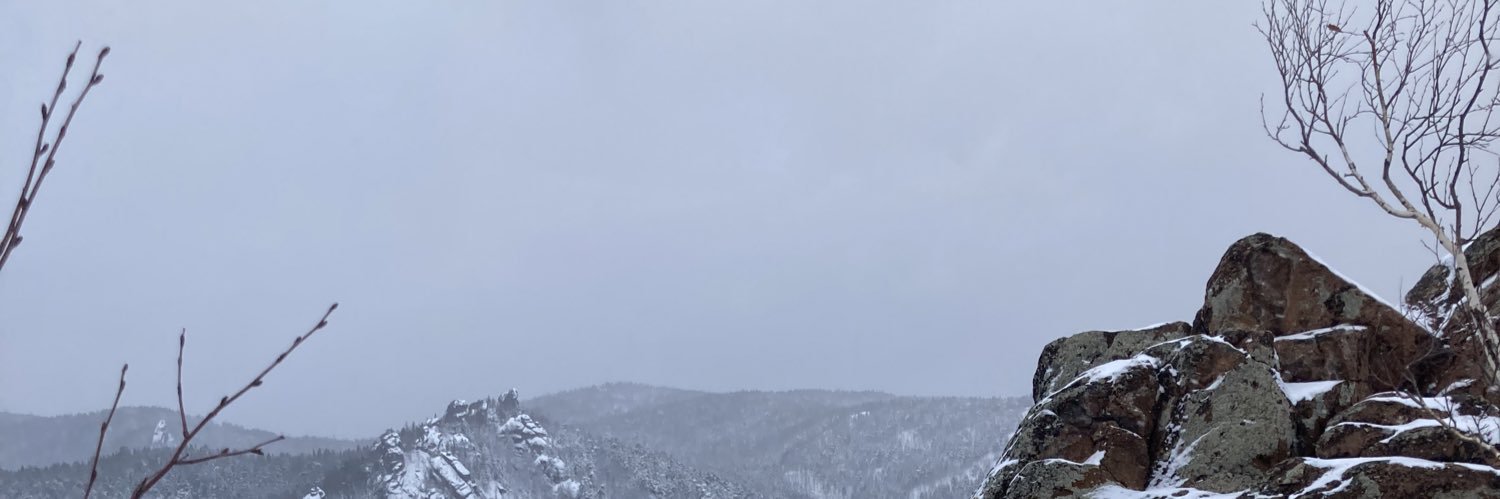 radichegom's profile banner image