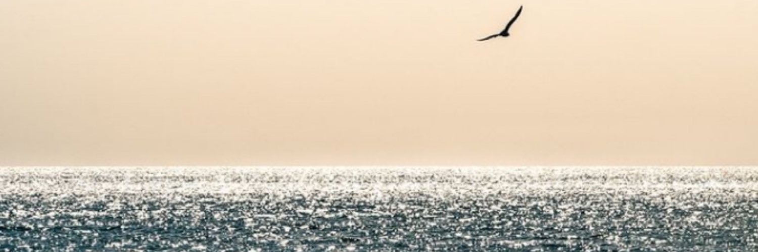 Javier Mozo Ballacey banner