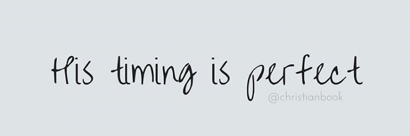 NicoleMirabal's profile banner image