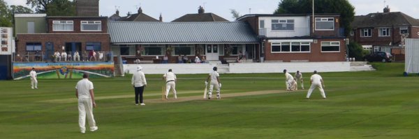 marplecc Profile Banner