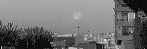 mbfanjul's profile banner image