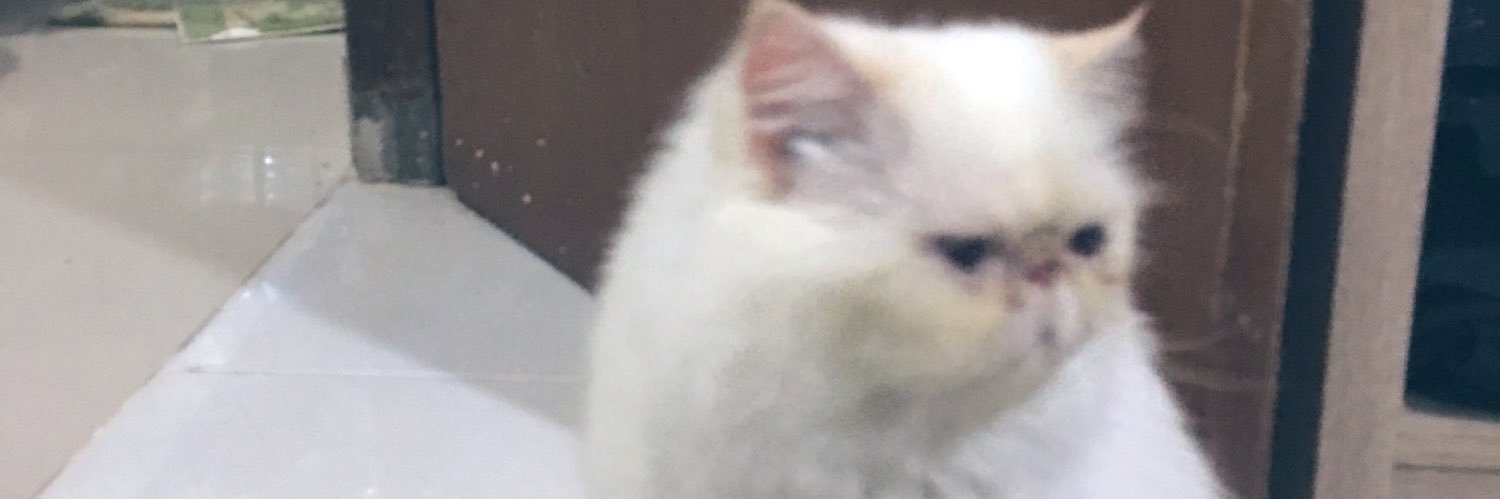 dindader's profile banner image