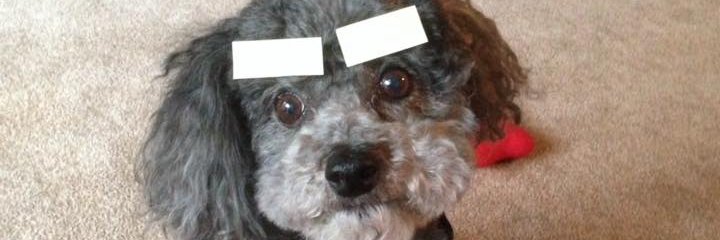 TotallyDerek's profile banner image