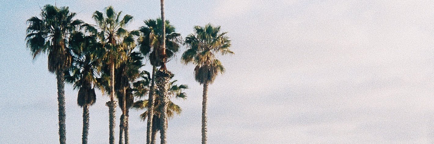jacqueswebster_'s profile banner image
