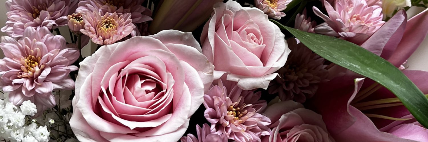 mandyxso's profile banner image