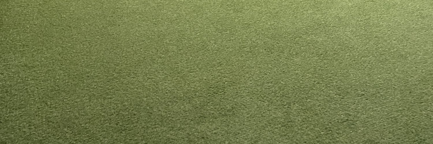 lisa Austin banner