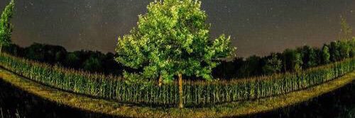 srluismartin's profile banner image