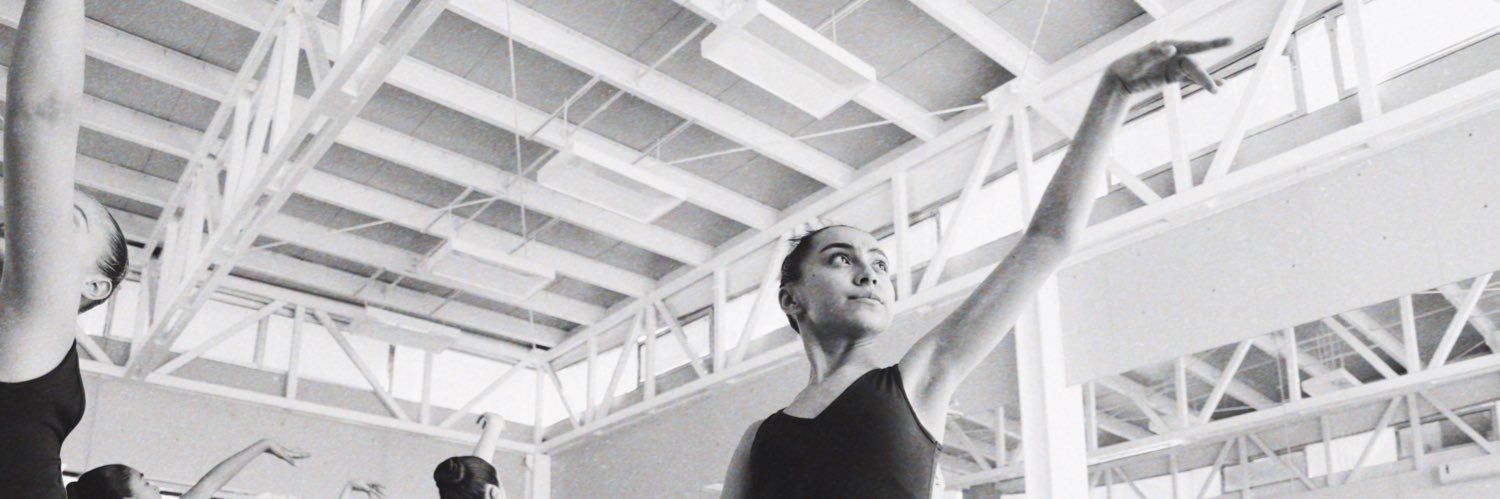 dulceescobedo's profile banner image