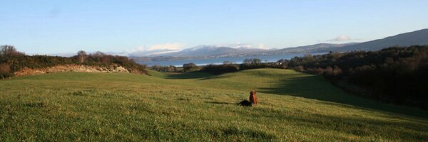 KinnegarBrewing Profile Banner