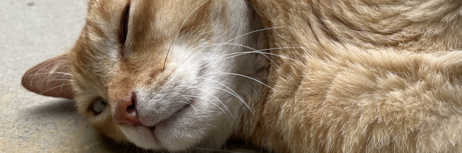 cessnapby's profile banner image