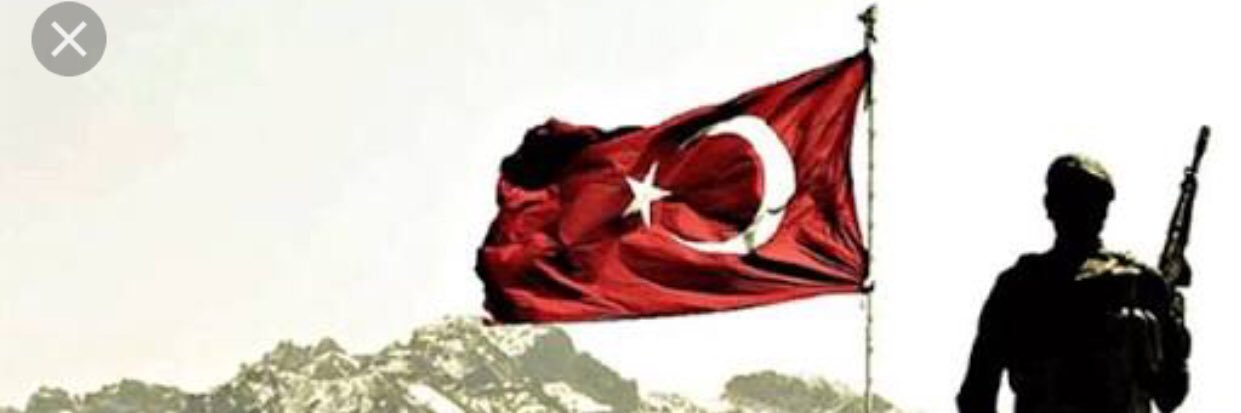 Dreamer_Investing banner