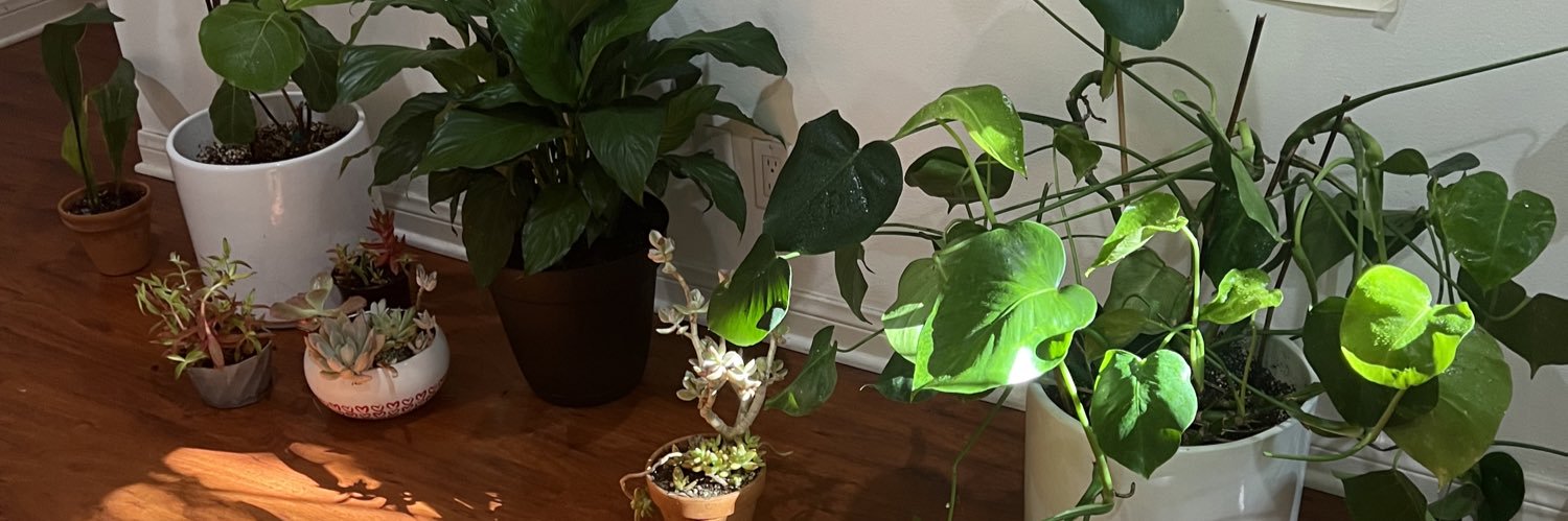 Ella Anderson banner