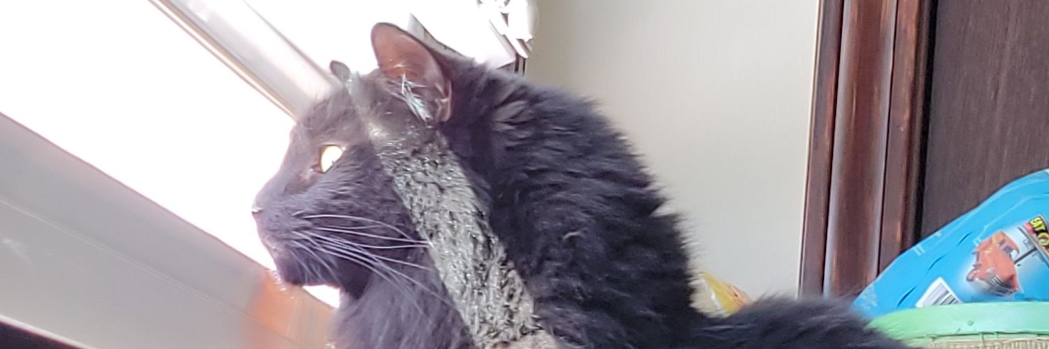 UsernameBrooke's profile banner image