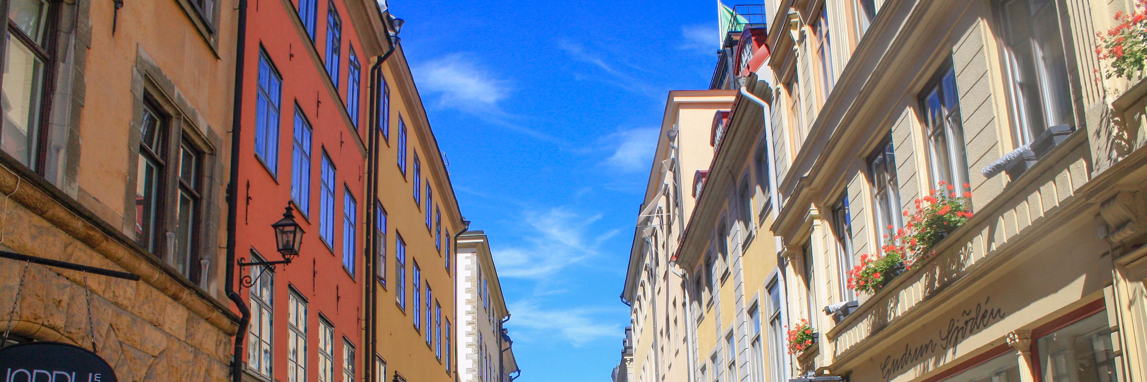 CpairTaiMi's profile banner image