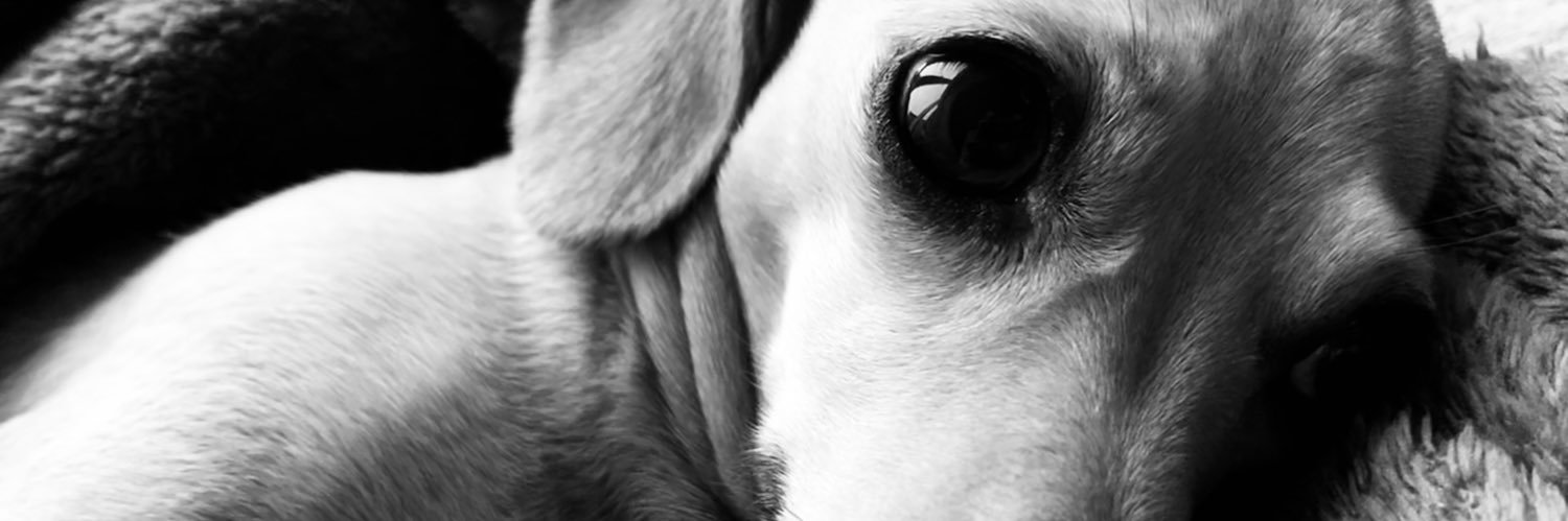 bobbyjay54's profile banner image