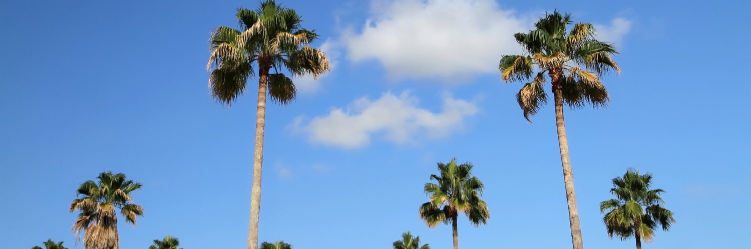 brixowens's profile banner image