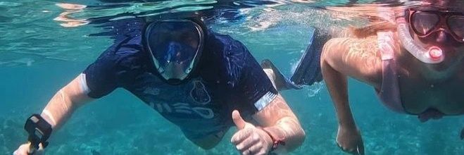 Paddy Devlin . banner