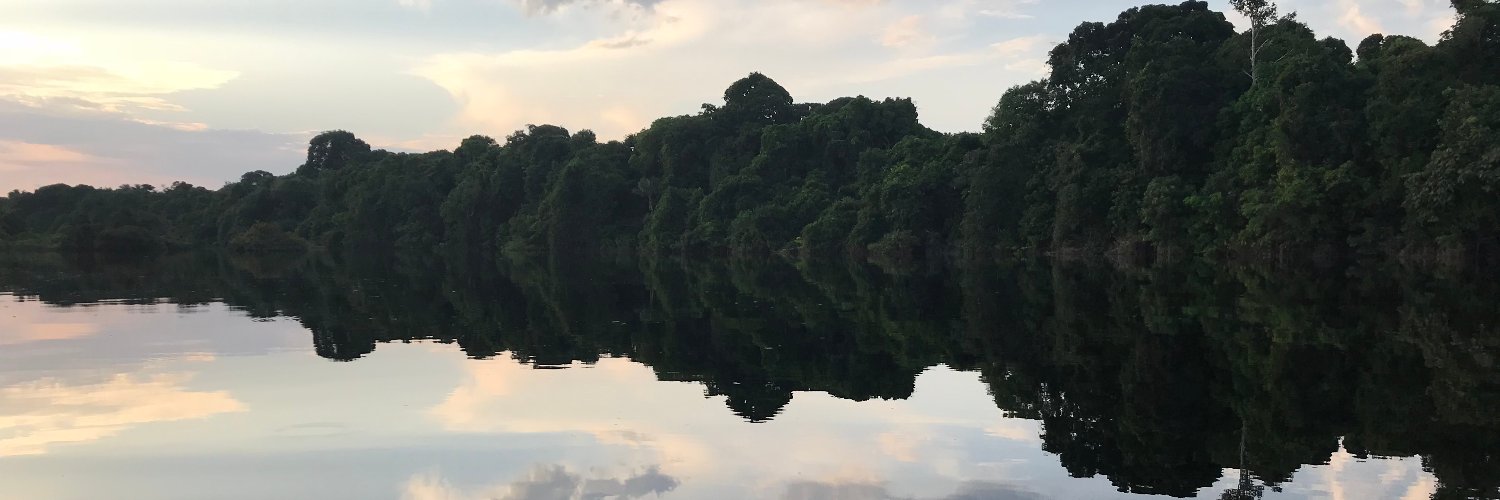 Richard Kemeny banner