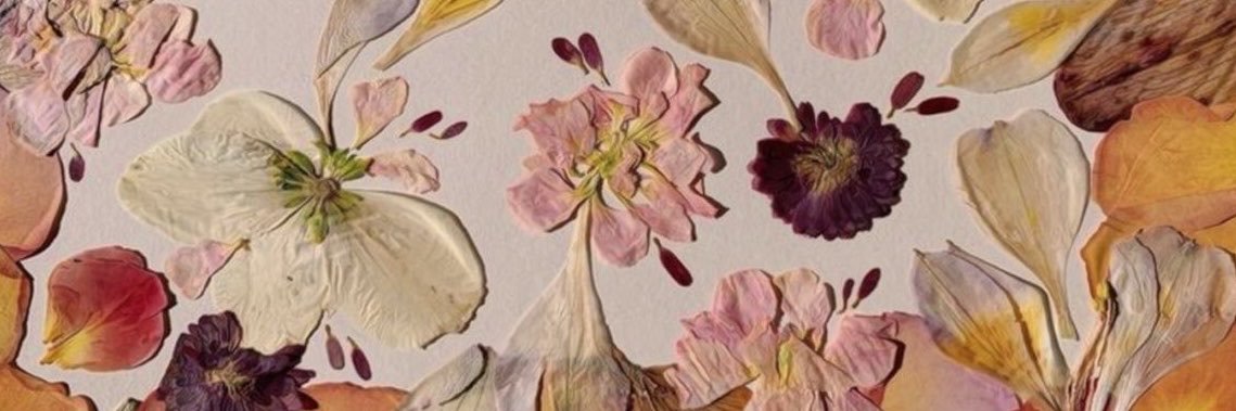SabrinaTimie's profile banner image