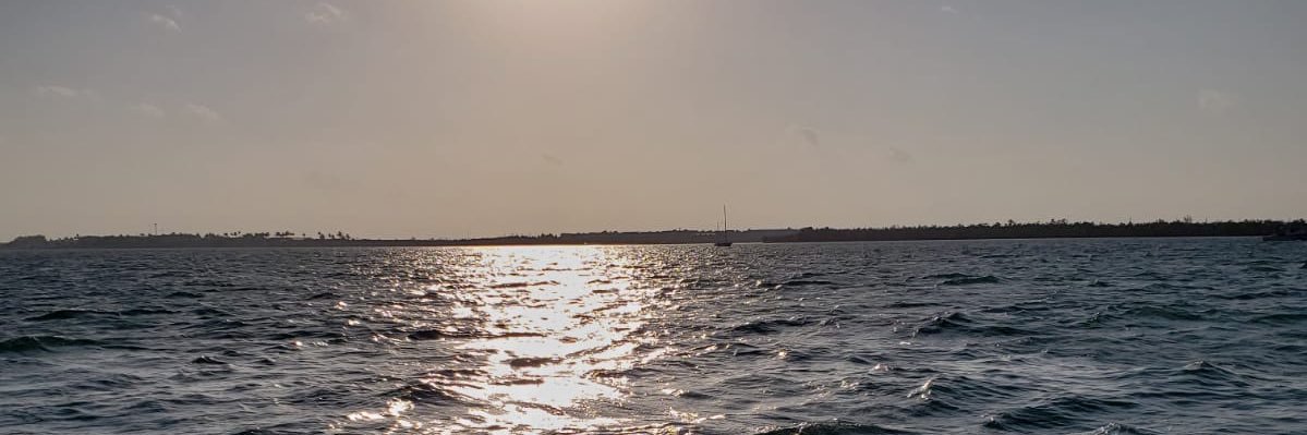 sarxfallx's profile banner image