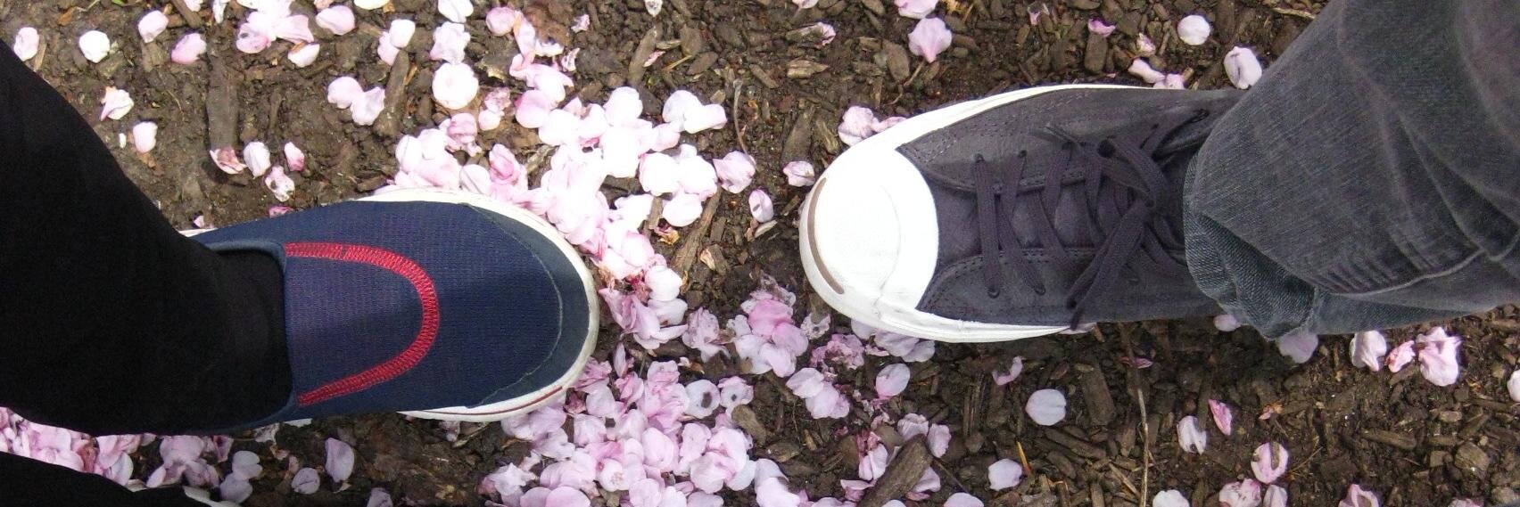 dom_nomnomnom's profile banner image