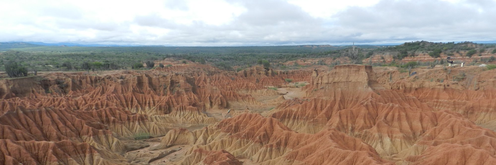 Samaria Montenegro banner