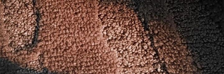 thetrutuntold's profile banner image