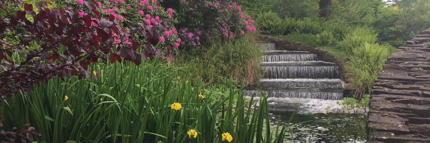 Fiona Morley Clarke banner