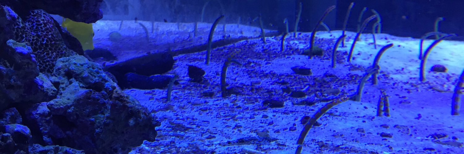 つくし banner