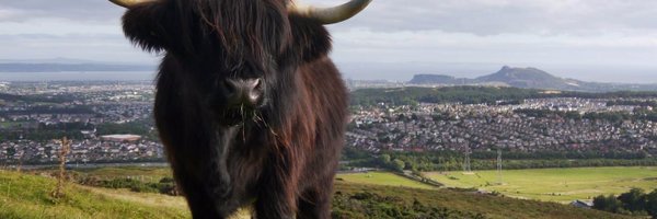 forfarfred Profile Banner