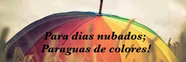 ROMINABASAEZ's profile banner image
