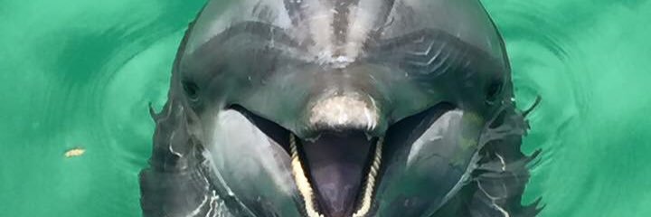 tayloragin's profile banner image