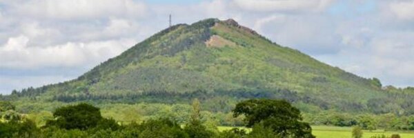 StPatricksTF1 Profile Banner