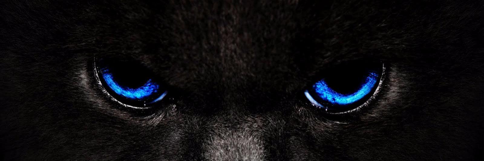 MathisGauthier's profile banner image