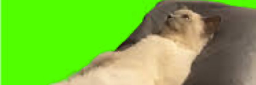 mylifeforuou's profile banner image