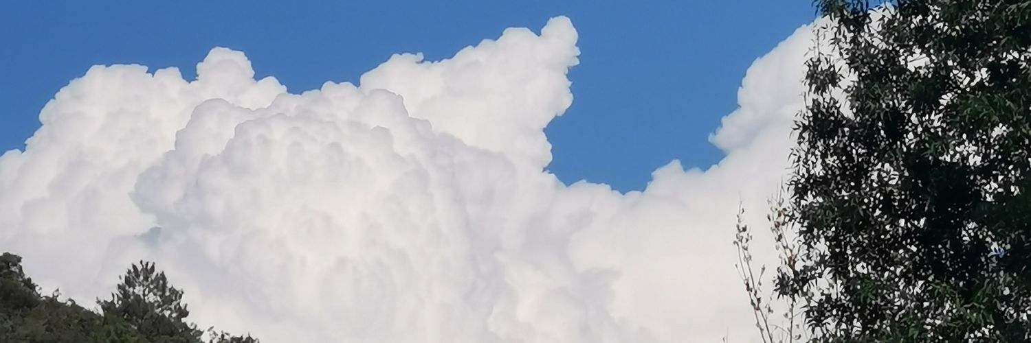 Alba_ParMiq_'s profile banner image