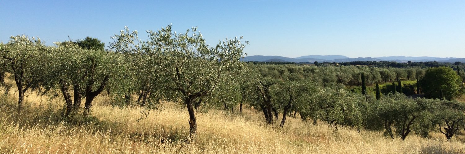 Podere Sant'Alberto banner