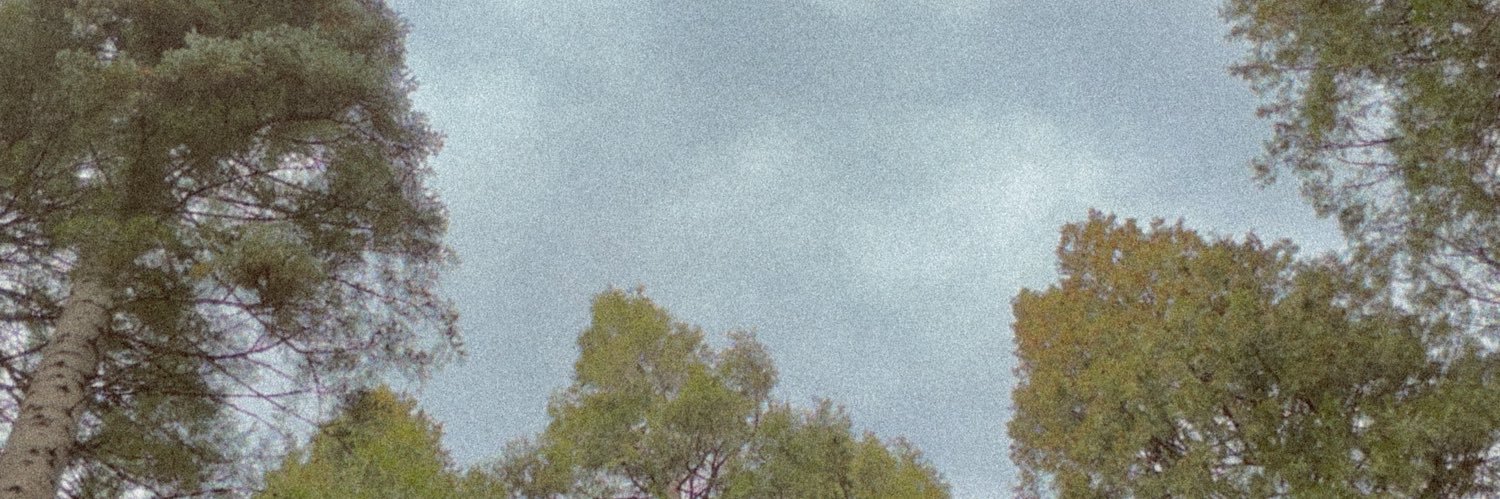 ryamatoli's profile banner image