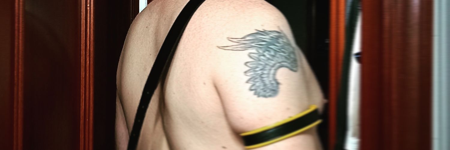 2_Blackwings's profile banner image