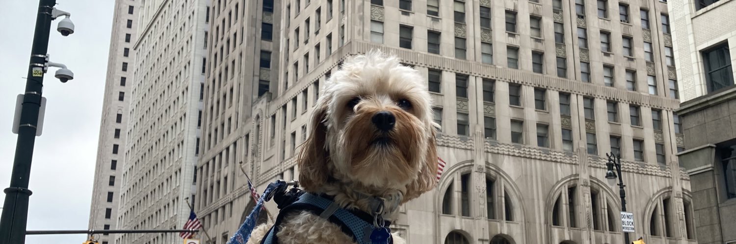 BFinzel's profile banner image