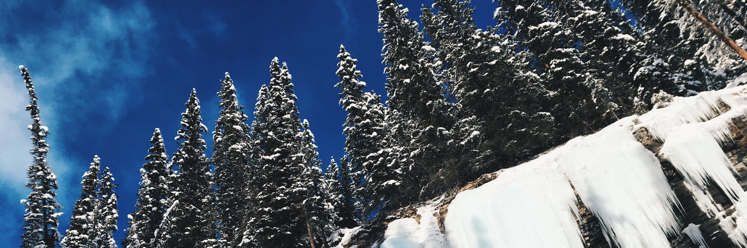 laureanne7's profile banner image