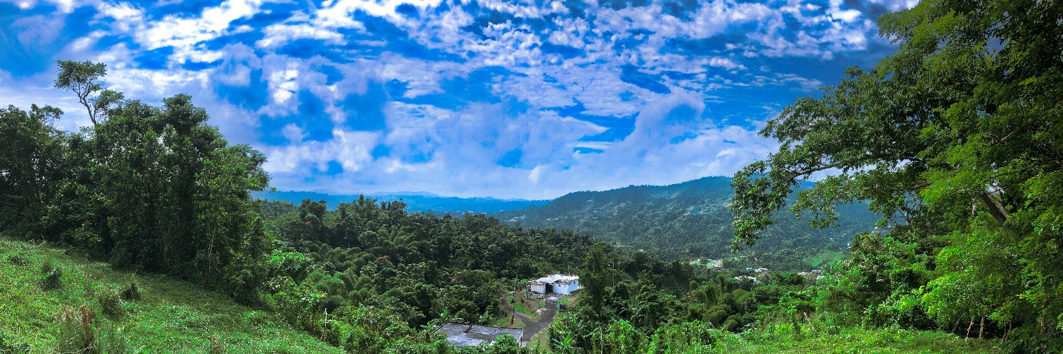 joelflores_g7's profile banner image