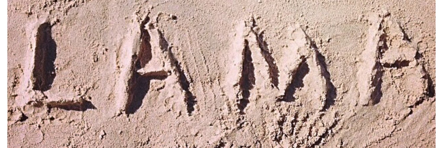 1993_lama's profile banner image