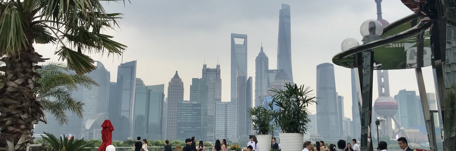 shanghaielf's profile banner image