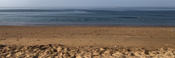 AlicePUNC21 Profile Banner