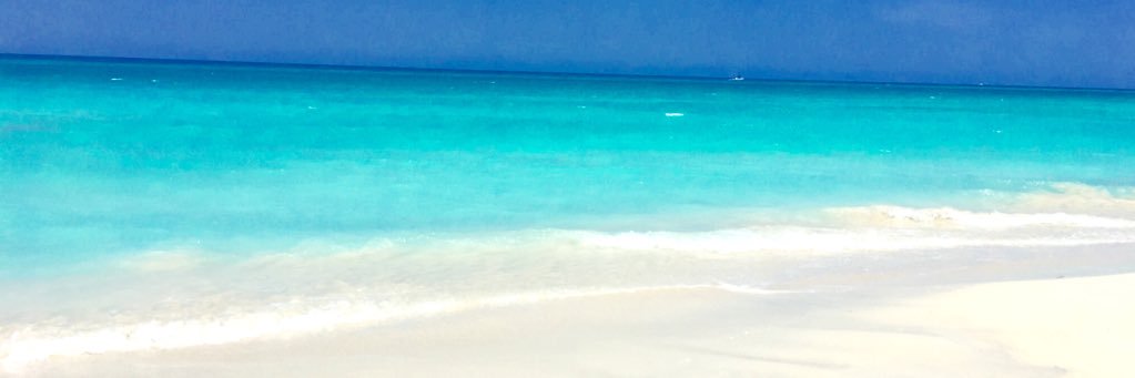 Becki__L's profile banner image