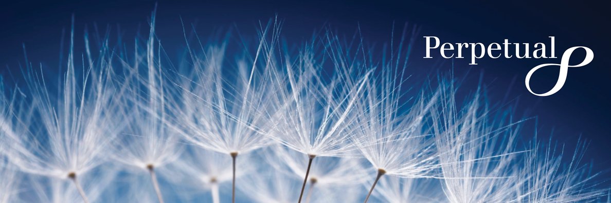 perpetual_ltd's profile banner image