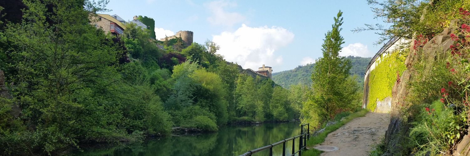 Moisés Fernández banner